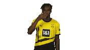 No Way Omg Sticker by Bundesliga