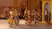 Enblecorsaire GIF by English National Ballet