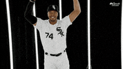 stand up baseball GIF by NBC Sports Chicago