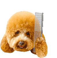Grooming Good Hair Day Sticker