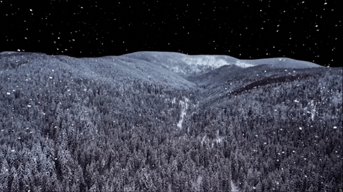 anastasiashkaleva giphygifmaker GIF