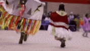 National Indigenous Peoples Day GIF by Priya