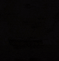 Spongebob Bro GIF