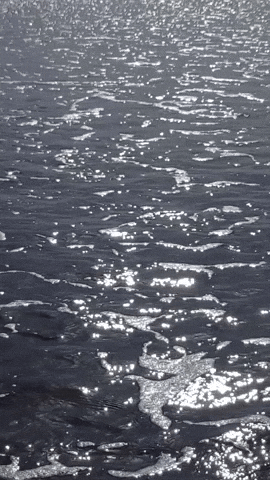 Simongip giphyupload GIF