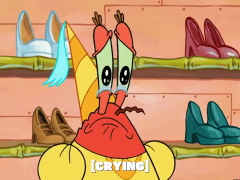 season 5 GIF by SpongeBob SquarePants