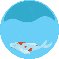 Water Koifish Sticker by Chatham University