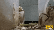 Spying Naked Mole Rat GIF by Brookfield Zoo