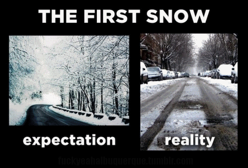 vs reality GIF