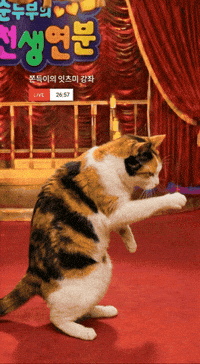 잇츠미 GIF
