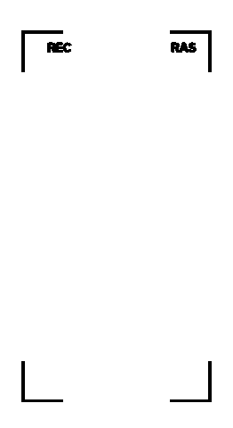 Rec Recording Sticker by TheTravelBook