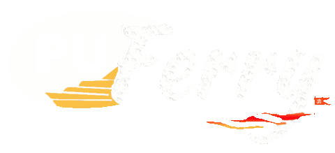 Footwear Polyurethane Sticker by PU Ferry