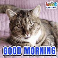 Good Morning GIF by Lucas and Friends by RV AppStudios