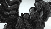 GIF by Miron