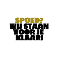 DeVloerenDokters service floor dvd flooring Sticker