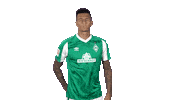 Davie Selke Goal Sticker by SV Werder Bremen