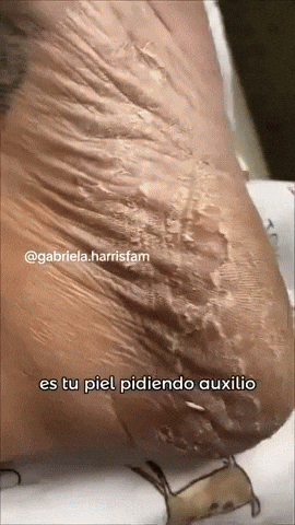 javiersalvatierraleon giphyupload GIF