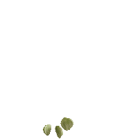 Plants Growing Sticker by Meta