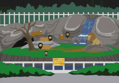 zoo lions GIF by South Park 