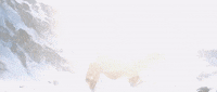 Forgotten Realms Dnd GIF by Dungeons & Dragons