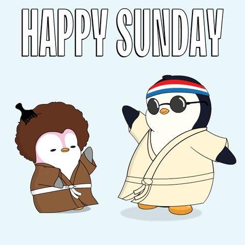 GIF by Pudgy Penguins
