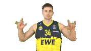 Ewe Baskets Basketball Sticker by EWE Baskets Oldenburg