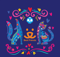 Day Of The Dead Cat GIF by Best Friends Animal Society