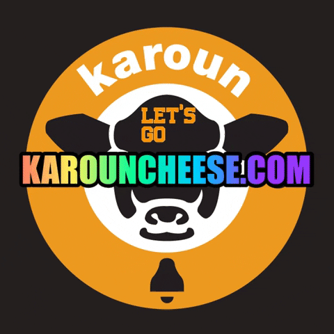 Lets Go GIF by Karoun Dairies