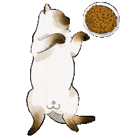 livchundesign cat eating chill kitty Sticker