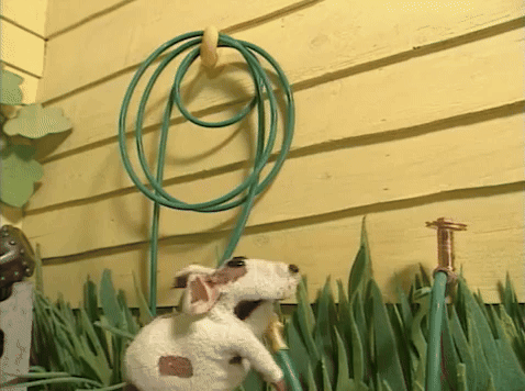 Hose