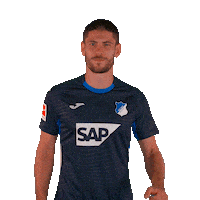 Andrej Kramaric Sport Sticker by TSG Hoffenheim