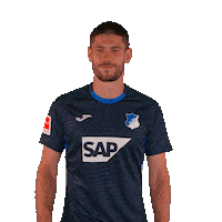 Andrej Kramaric Sport Sticker by TSG Hoffenheim