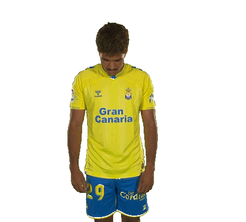 Gran Canaria Coco Sticker by UD Las Palmas