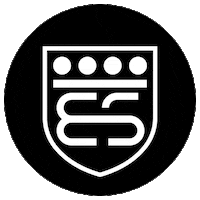 brixiasupercars bsc supercar brescia brixia Sticker