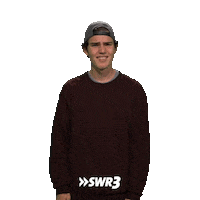 Why Is That Lol Sticker by SWR3