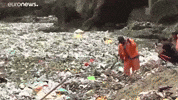 Pollution Plastic Waves GIF by euronews