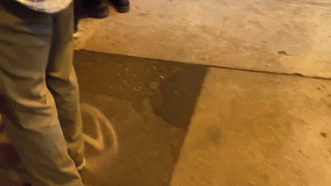 Fail Funny San Francisco GIF