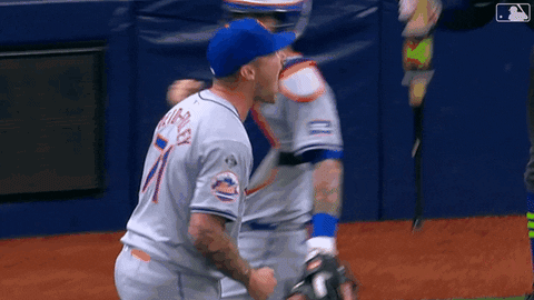 Baseball Mlb GIF by New York Mets