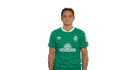 Sticker Emotionen Sticker by SV Werder Bremen