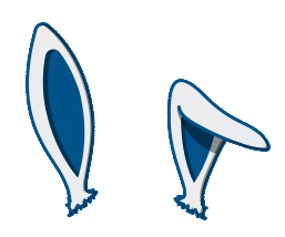 Bunny Ears Sticker by Blue Buffalo