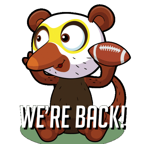 Football Sport Sticker by VeeFriends