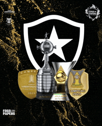 Libertadores Bfr GIF