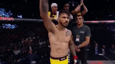 giphy.gif