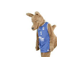 social-media-easycredit basketball easycredit ellihoop easycredit-bbl Sticker