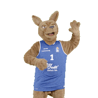 social-media-easycredit basketball highfive easycredit ellihoop Sticker