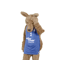 social-media-easycredit basketball easycredit ellihoop easycredit-bbl Sticker