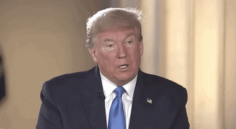 Donald Trump Zoom GIF by GIPHY News