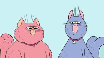 DESCRIÇÃO DA IMAGEM: dois gatos, um cor-de-rosa e um azul olhando de forma julgadora para baixo.

inFlux English School: O que significa "I wouldn't put it past him" em inglês?