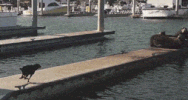 GIF by Demic