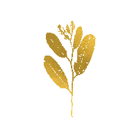 Golden Flower Sticker by Dit et Ecrit