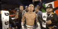 toprank fight boxing fighting fighters GIF